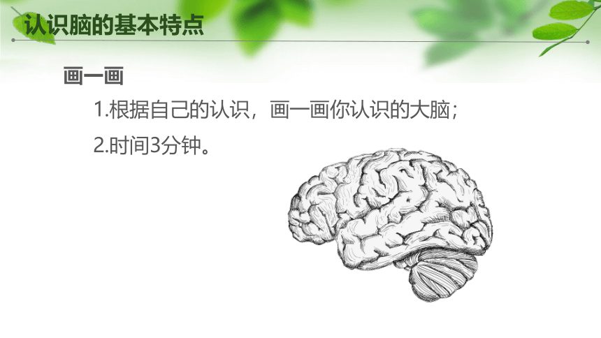 苏教版五年级科学上册第19课《我们的大脑》(课件）(共19张PPT+视频)