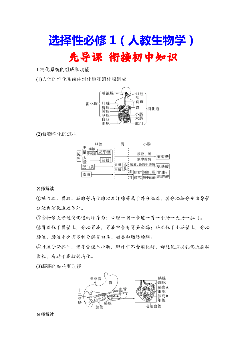 选择性必修1（人教生物学）先导课　衔接初中生物知识