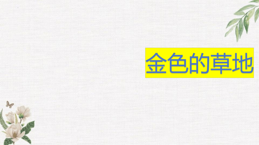 16.《金色的草地》课件(共17张PPT)