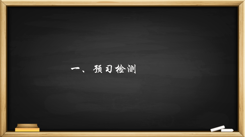 17《孤独之旅》课件(共37张PPT)