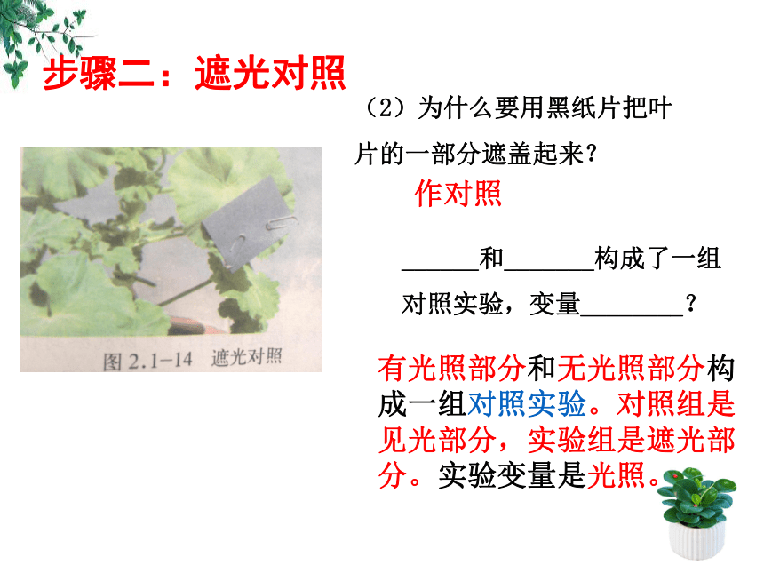 2.1.3 绿色植物的光合作用-2023-2024学年七年级生物上册同步精品课堂（济南版）(共28张PPT)