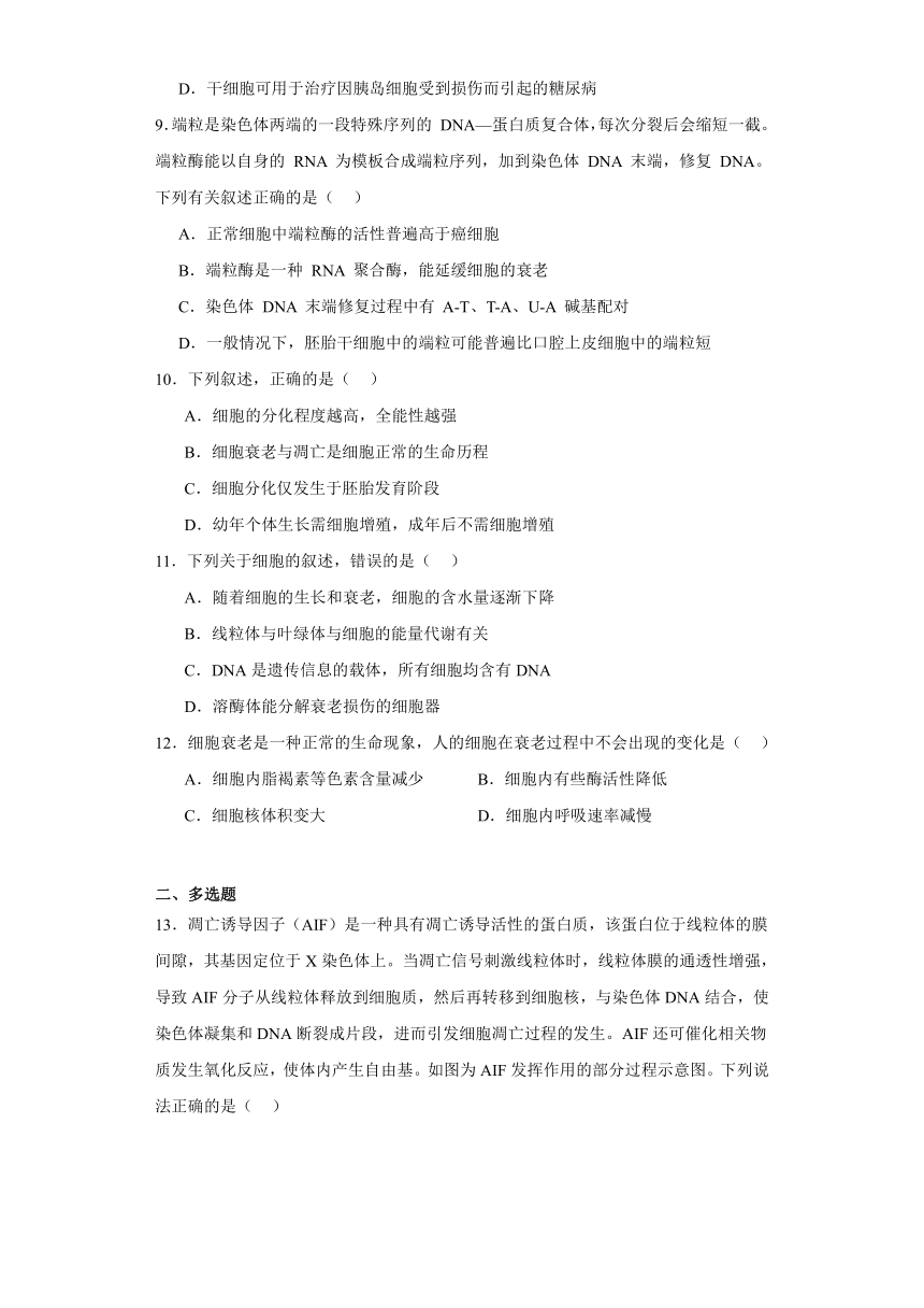 5.3植物生长调节剂的应用 练习（解析版）