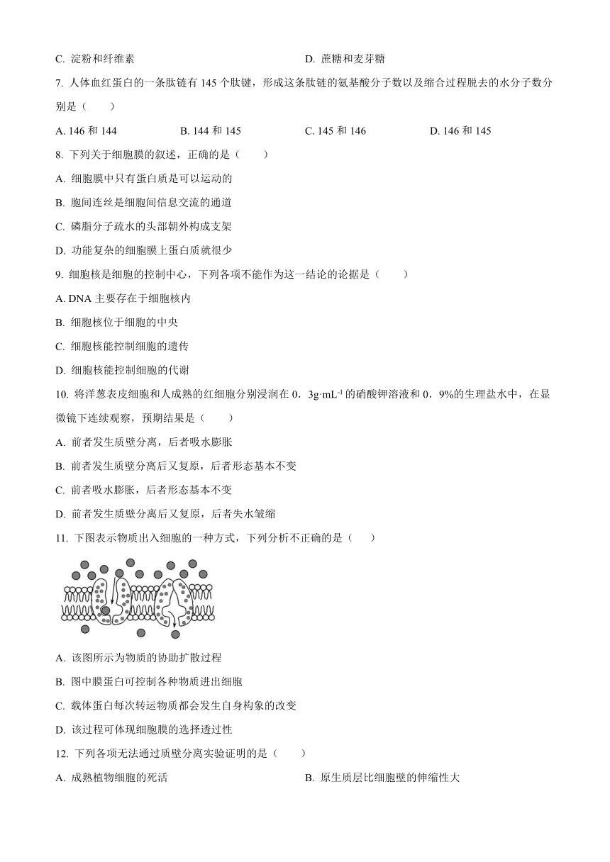 陕西省宝鸡市陈仓区2022-2023学年高一下学期期末考试生物学试题（解析版）