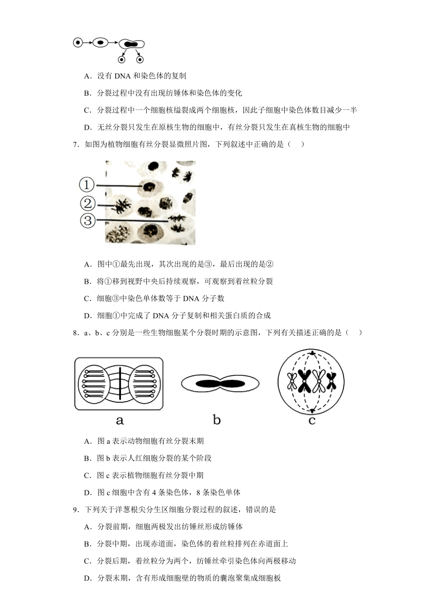 第四章 细胞增殖、分化、衰老和死亡 测试题（有答案）—2023-2024学年高中生物学苏教版（2019）必修1