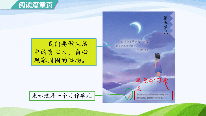 15.《搭船的鸟》课件(共两课时，47张PPT)