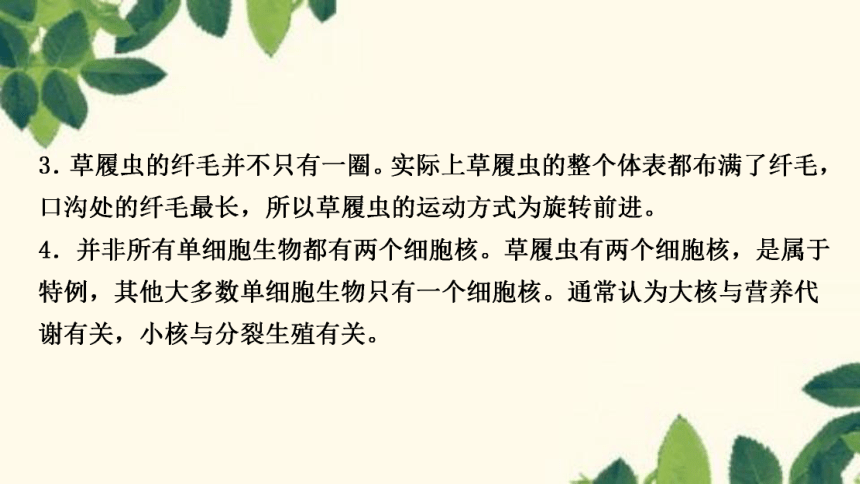 人教版生物七年级上册2.2.4　单细胞生物 课件（共24张PPT）