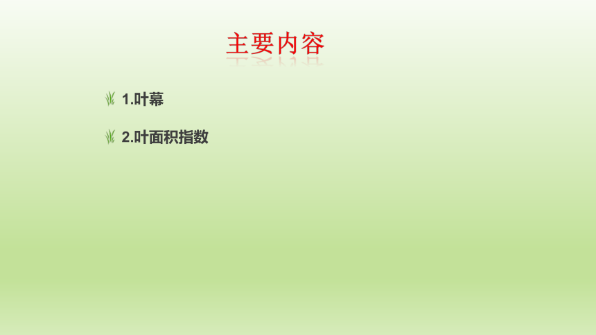 1.3.4叶幕与叶面积指数 课件(共21张PPT）-《果树生产技术》同步教学（中国农业出版社）