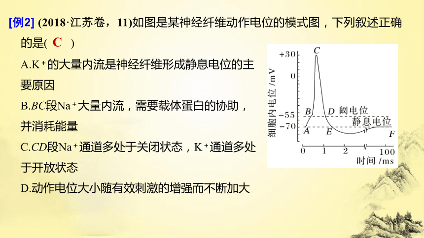 高考生物总复习微专题7 兴奋传导与传递的相关实验探究(课件共19张PPT)