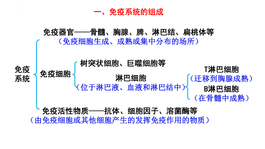 生物人教版（2019）选择性必修1 4.1免疫系统的组成和功能（共35张ppt）