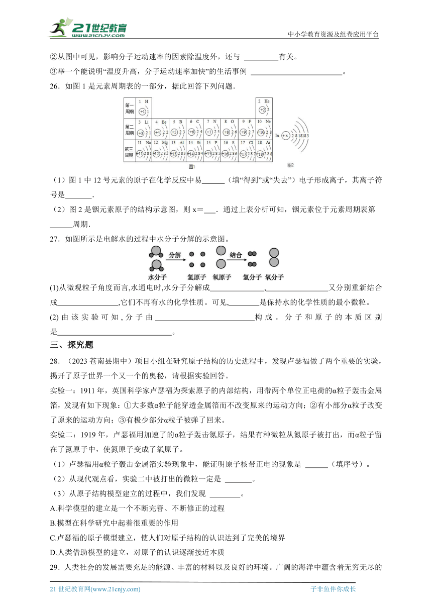 2023-2024华师大版科学八上期末冲刺之第六章 物质的构成（含答案）