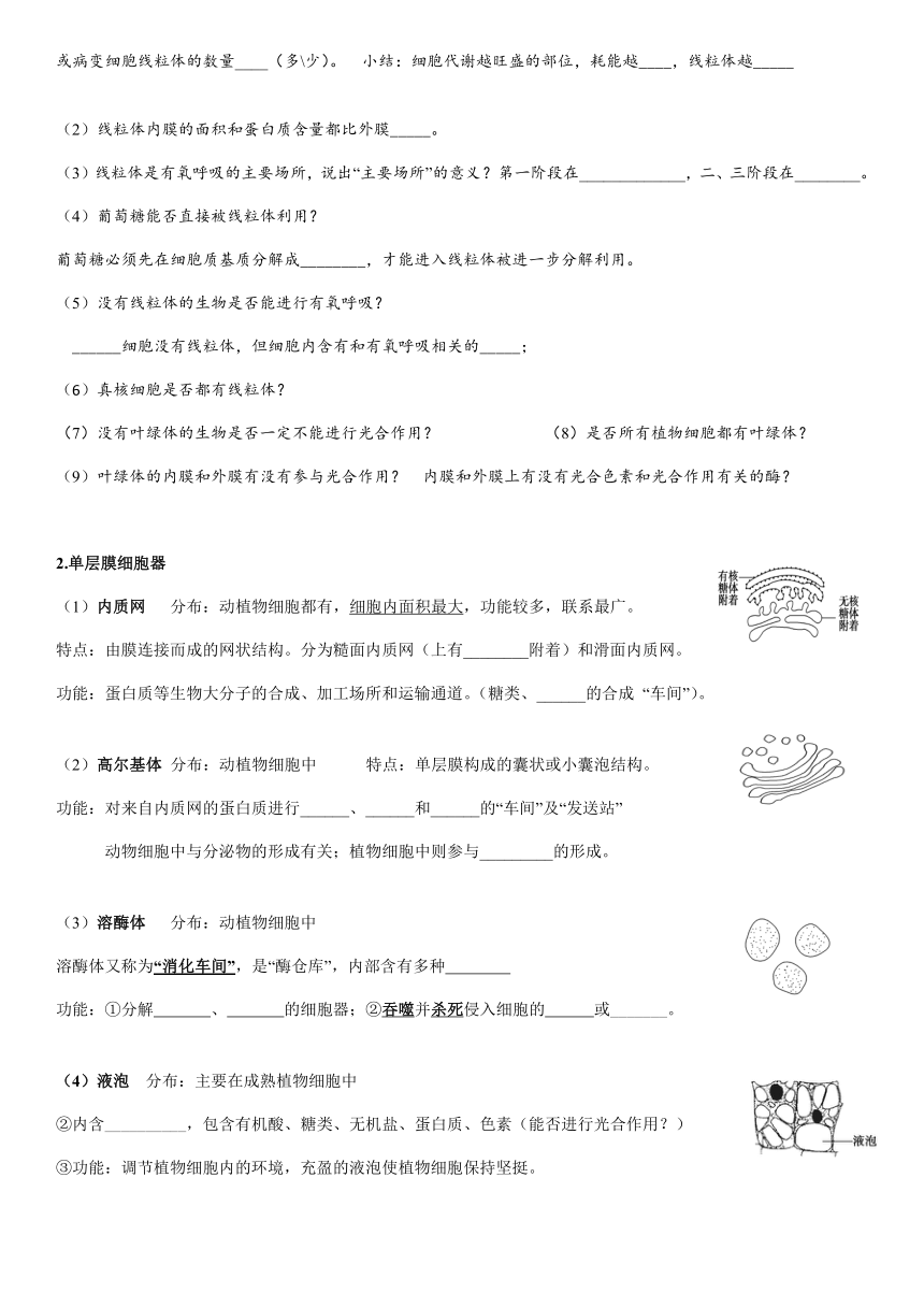 3.2细胞器之间的分工合作学案（无答案）高一上学期生物人教版必修1