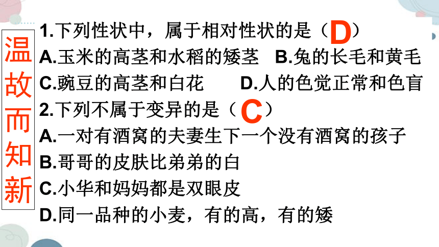 20.2 性状遗传的物质基础-2023-2024学年八年级生物上册同步教学课件（北师大版）(共33张PPT)