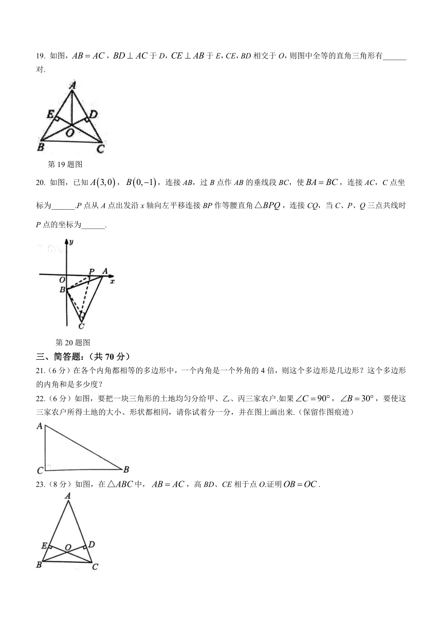 辽宁省葫芦岛市绥中县2023-2024学年八年级上学期期中数学试题（含答案）