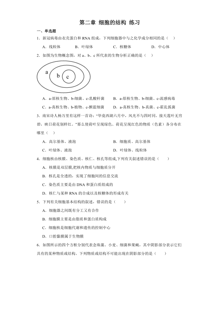 第二章 细胞的结构 练习（解析版）