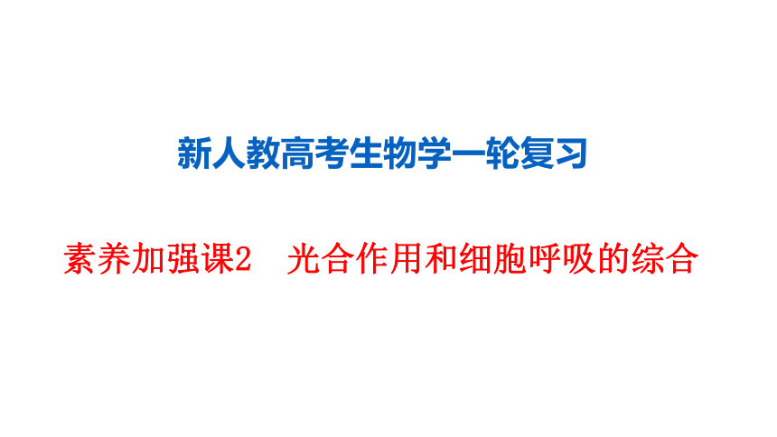 新人教高考生物学一轮复习素养加强课2　光合作用和细胞呼吸的综合(课件共82张PPT)