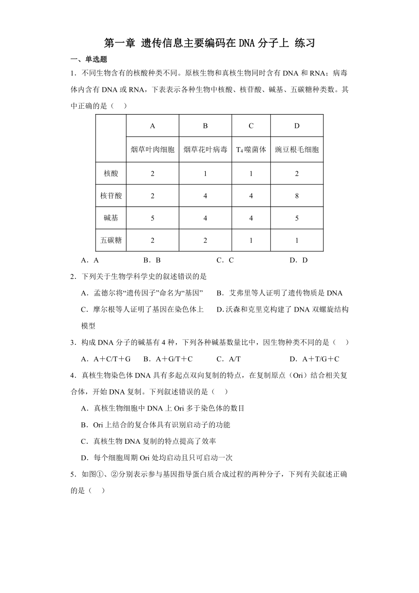 第一章 遗传信息主要编码在DNA分子上 练习（有解析）