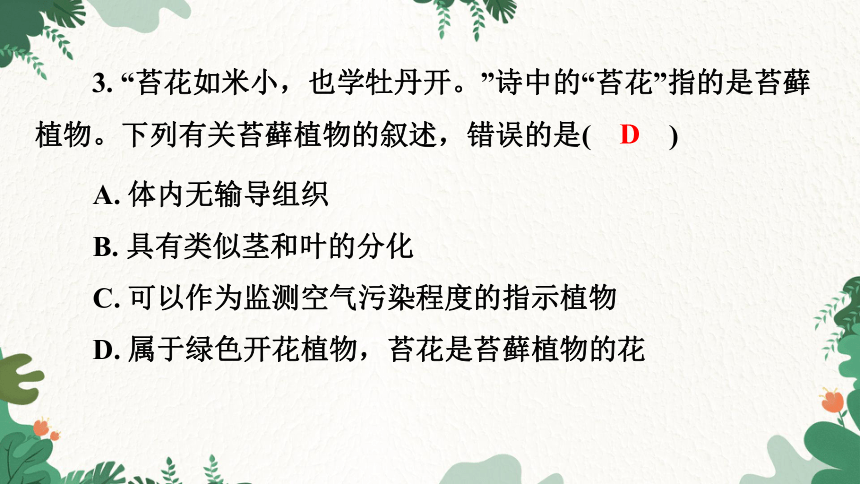 3.1.1 藻类、苔藓和蕨类植物习题课件(共21张PPT)人教版生物七年级上册