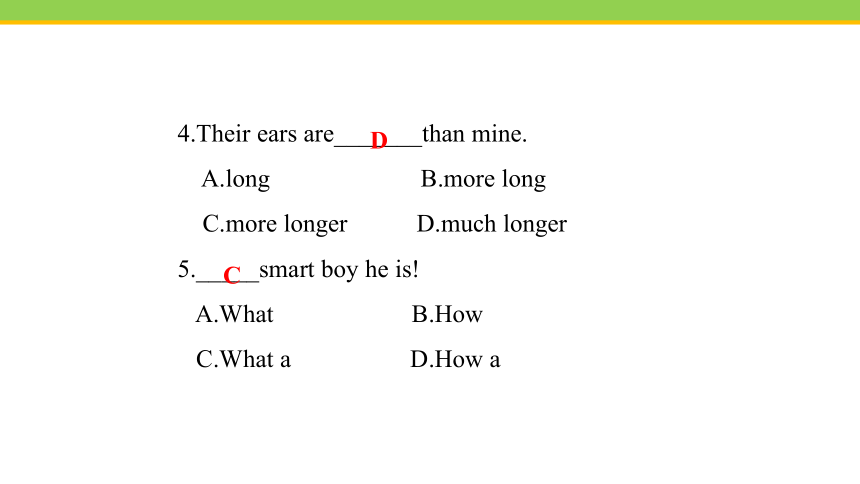 Unit 3 Lesson 14 Amazing  animals  课件(共23张PPT) 2023-2024学年冀教版英语八年级下册