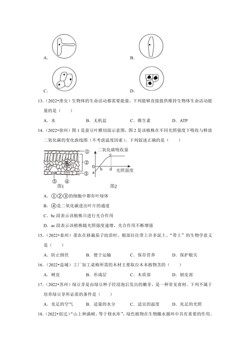 专题3绿色植物——2022-2023年江苏省中考生物试题分类（含解析）