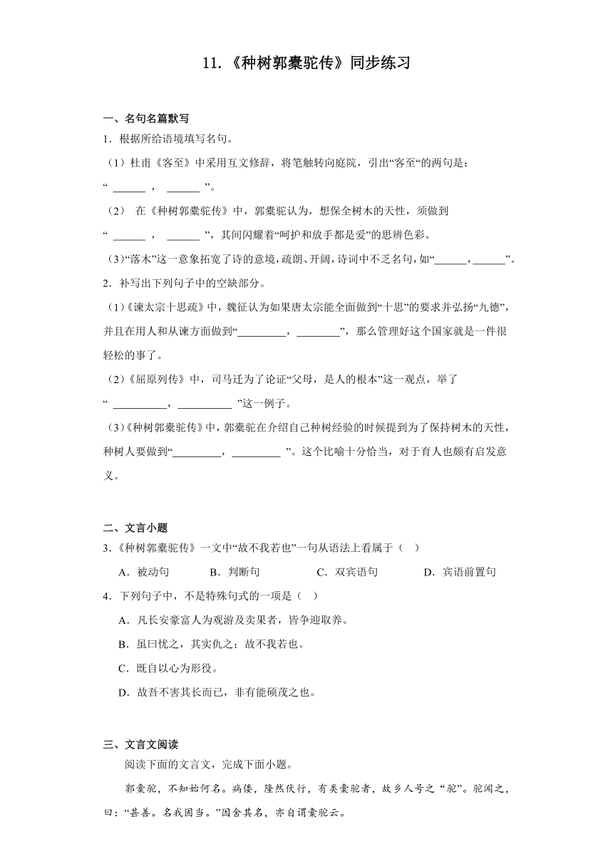 11.《种树郭橐驼传》同步练习（含答案）统编版高中语文选择性必修下册