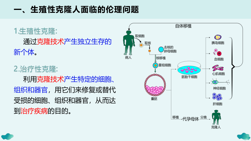 4.2关注生殖性克隆人(共18张PPT)-课件人教版2019选择性必修3