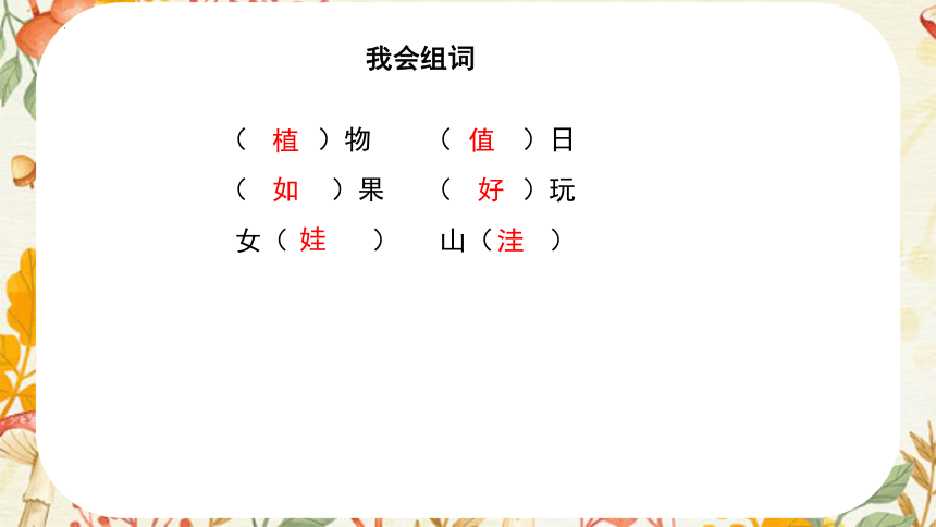 3植物妈妈有办法 课件(共22张PPT)