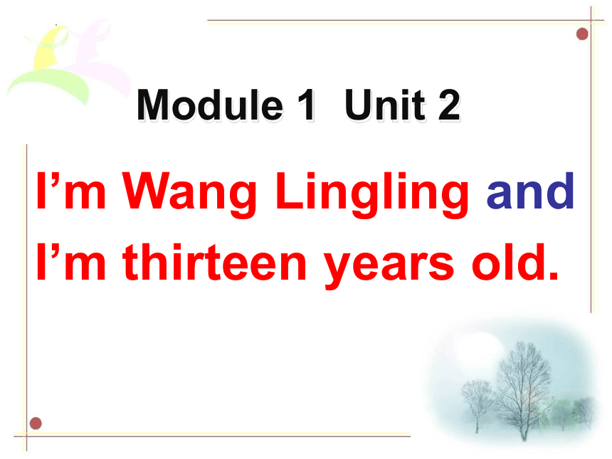 Module 1 Unit 2 I'm Wang Lingling and I'm thirteen years old. 课件(共19张PPT)2023-2024 学年七年级英语外研版上册
