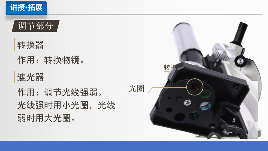 2.1.1 练习使用显微镜课件(共38张PPT)2023-2024学年人教版生物七年级上册