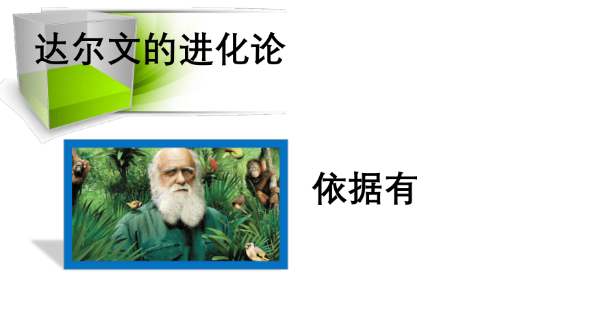 4.1.1人的起源和发展课件 (共19张PPT+视频1个)人教版生物七年级下册