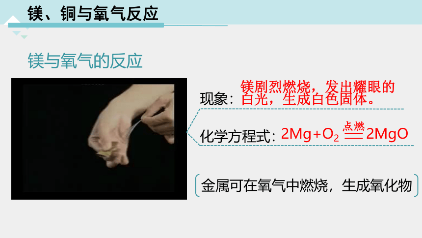 2.2 金属的化学性质( 第1课时，课件 21张ppt )---2023-2024学年浙教版科学九年级上册