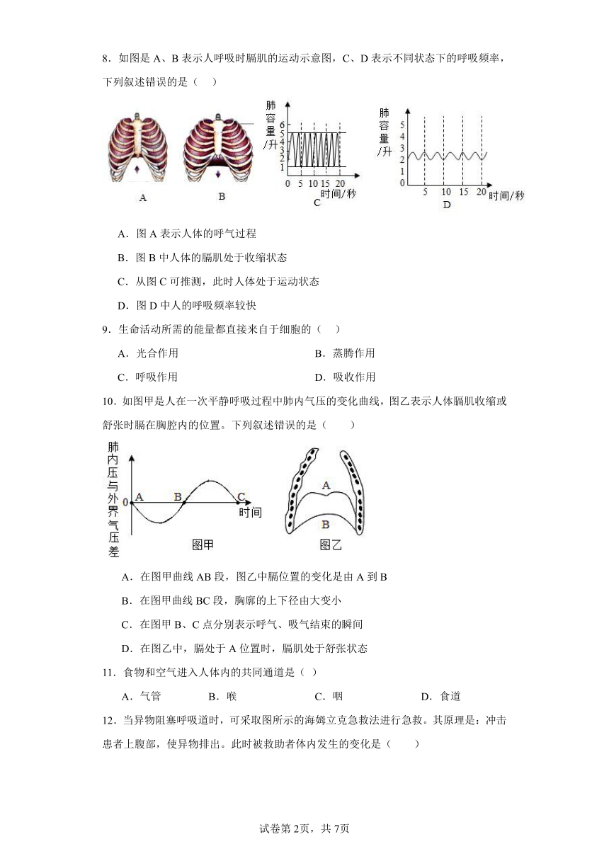 4.3人体的呼吸 同步练习（含解析）2023-2024学年鲁科版（五四学制）七年级上册生物