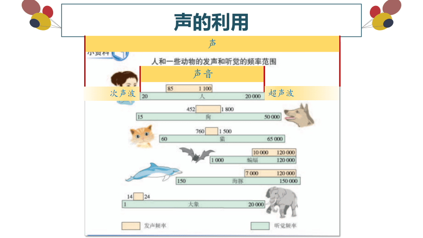 第二章第3节声的利用课件 (共16张PPT)人教版物理八年级上册