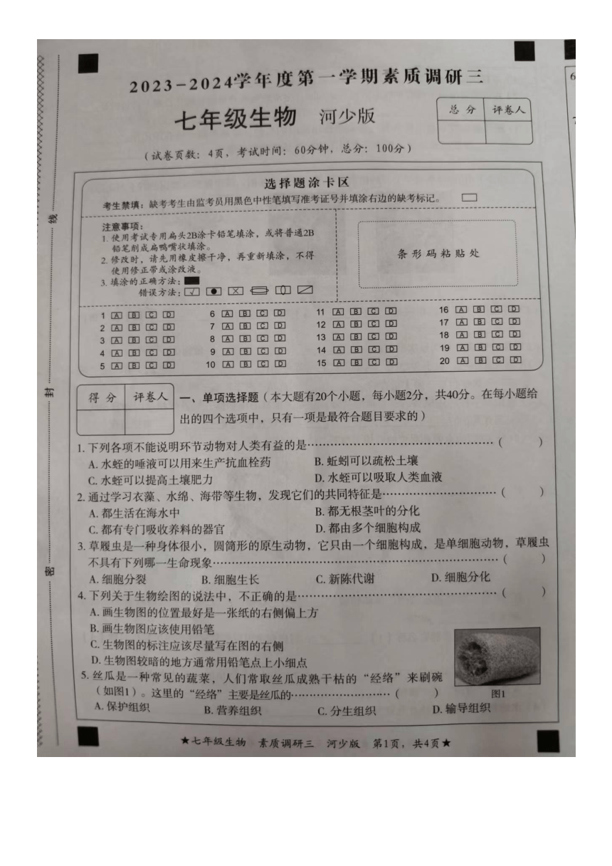 河北省邢台市南和区2023-2024学年七年级上学期第三次月考生物试卷（图片版无答案）