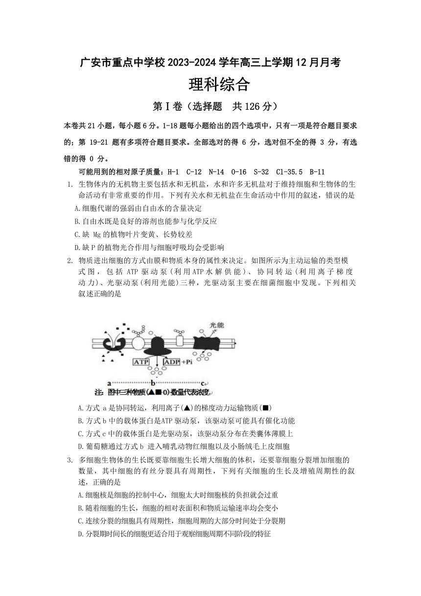 四川省广安市重点中学校2023-2024学年高三上学期12月月考理科综合试题（含答案）