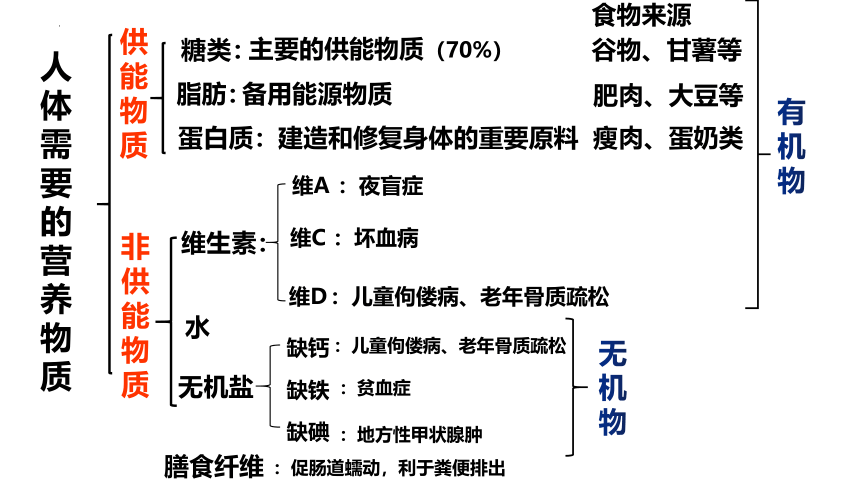 4.9.2人体的消化与吸收课件(共31张PPT) 苏教版生物七年级下册