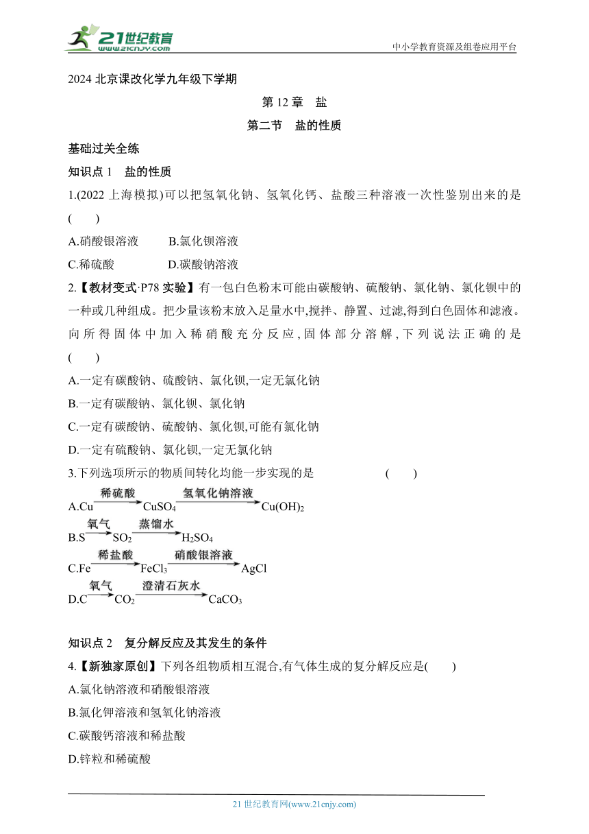 2024北京课改化学九年级下学期课时练--第二节   盐的性质