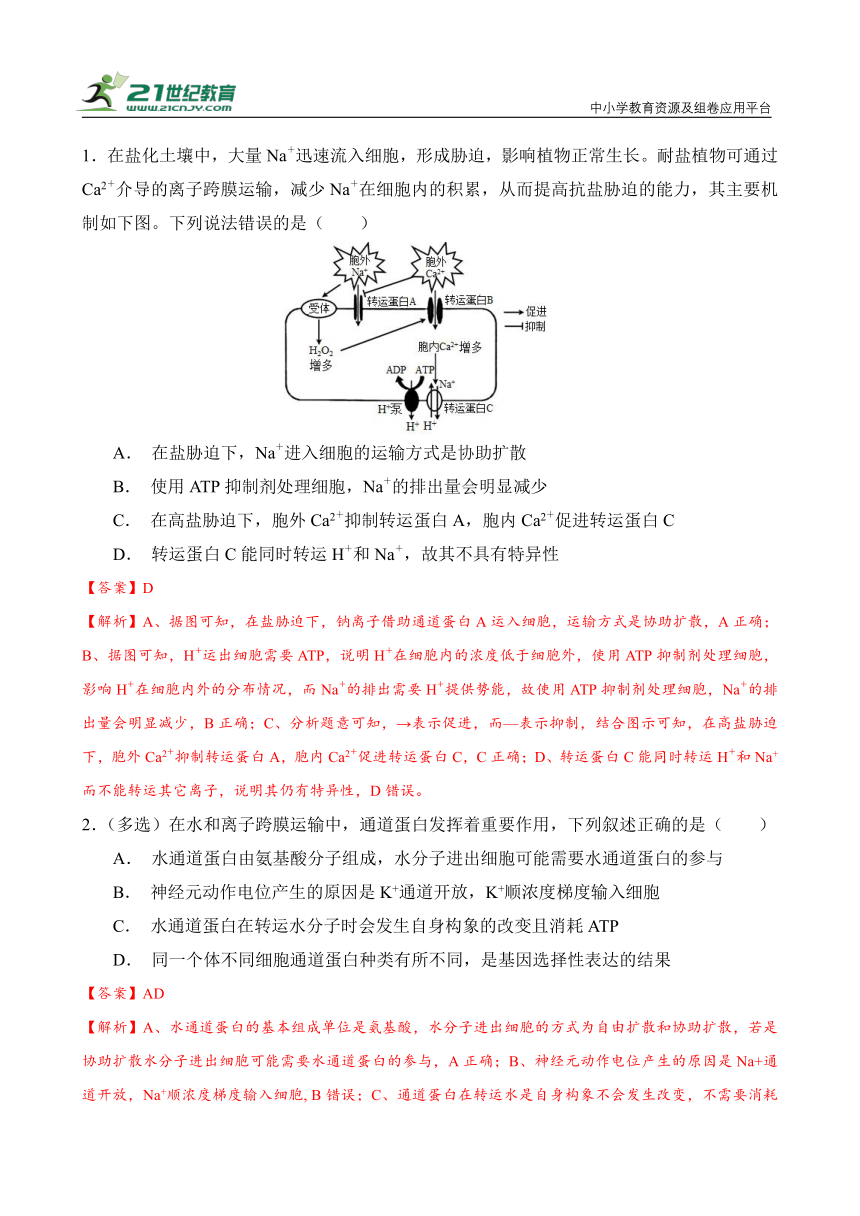 【备考2024】高中生物一轮复习学案 第3讲 物质跨膜运输（含解析）