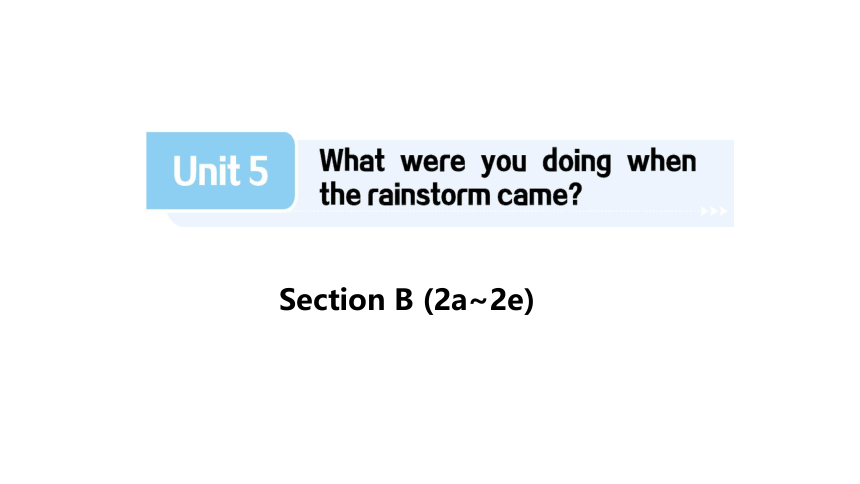 Unit 5   What were you doing when the rainstorm came? Section B (2a~2e) 课件(共22张PPT) 2023-2024学年人教版八年