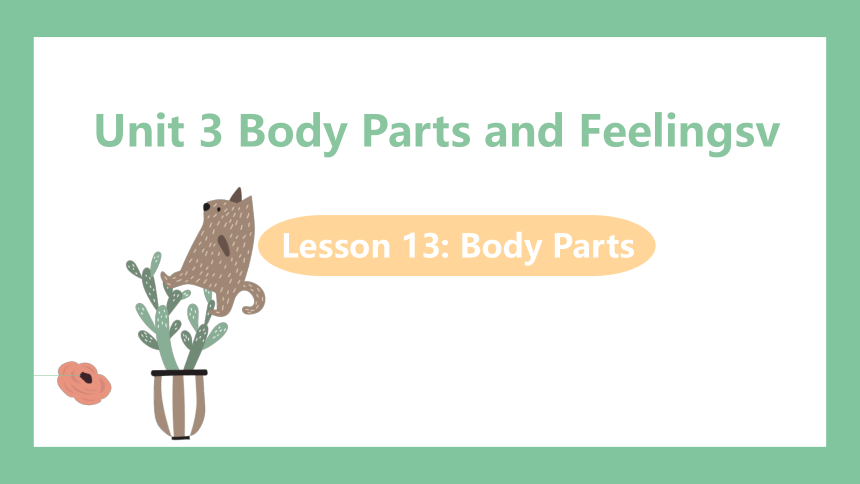 Unit 3 Body Parts and Feelings Lesson 13 (共26张PPT)2023-2024学年初中英语冀教英语七年级上册课件