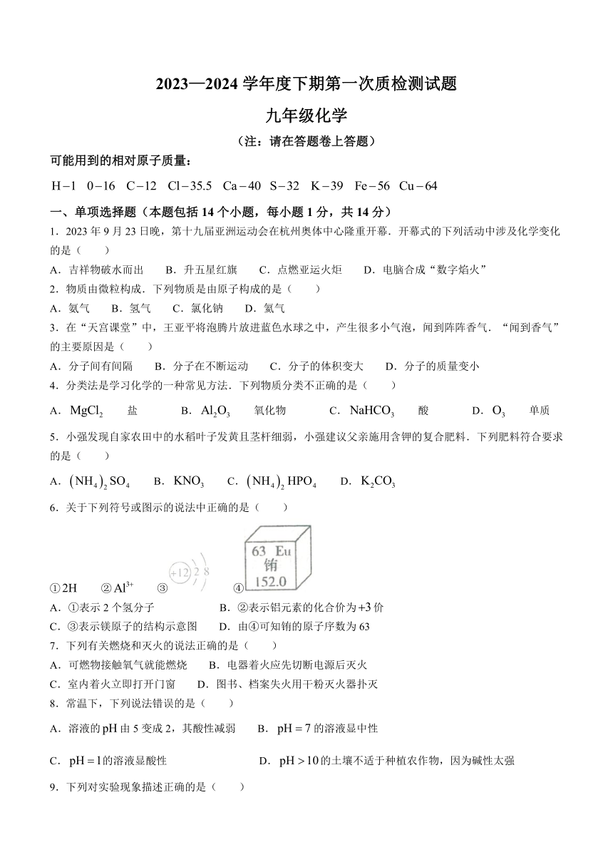 2024年河南省驻马店市汝南县中考一模化学试题（含答案）