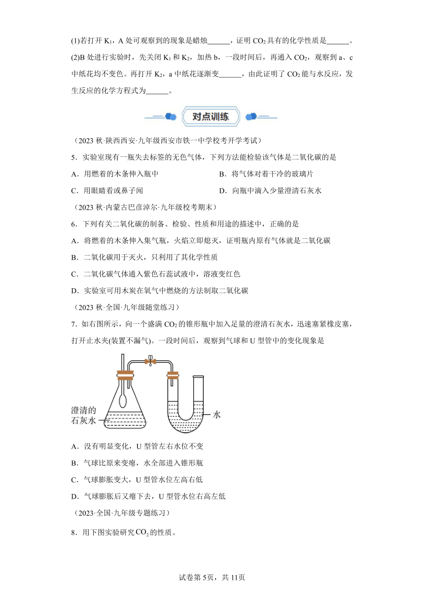 实验10二氧化碳的实验室制取与性质 同步实验课 九年级化学上学期人教版（含解析）