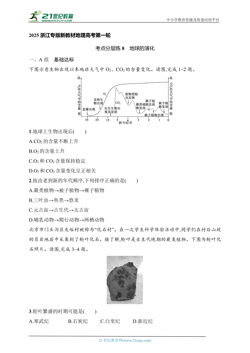 2024浙江专版新教材地理高考第一轮基础练--考点分层练8　地球的演化（含解析）