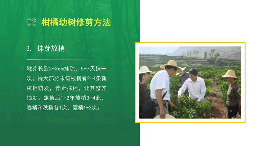 4.2.1柑橘对环境的要求 课件(共13张PPT)-《果树生产技术》同步教学（中国农业出版社）