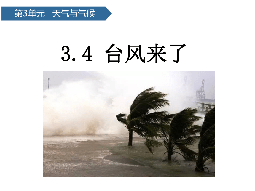 青岛版（六三制2017秋）四年级科学上册3.14 台风来了（课件10张ppt ）