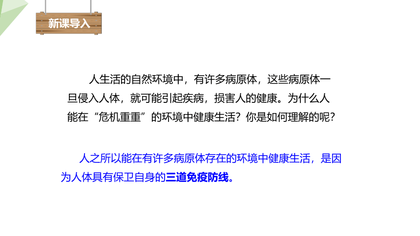 4.13.3 人体免疫 课件 (共21张PPT)2023-2024学年初中生物北师版七年级下册