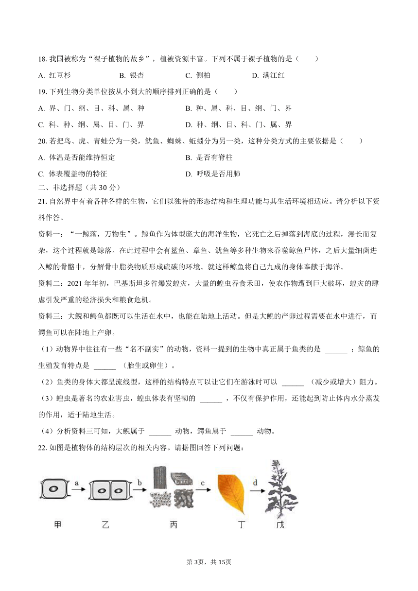 2022-2023学年江西省宜春市高安市七年级（上）期末生物试卷（含解析）