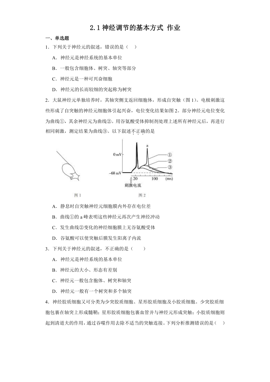 2.1神经调节的基本方式 作业（有答案）