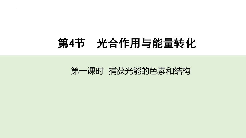 生物人教版（2019）必修1 5.4光合作用与能量转化（共73张ppt）