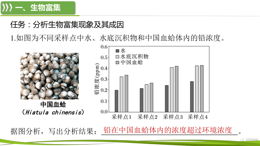 高中生物人教版（2019）选择性必修2课件：3.3.2 生物富集及探究土壤微生物的分解作用