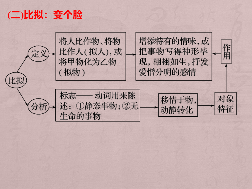 2024届高考语文复习：修辞手法 课件(共53张PPT)